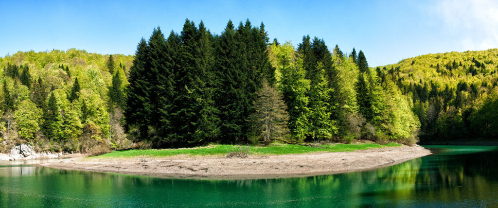Paisaje de la Selva de Irati, con un lago de aguas verdes y tranquilas rodeado de un frondoso bosque de hayas y coníferas bajo un cielo despejado.