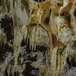 Cuevas del Águila y el Aula museo de las Abejas del Valle