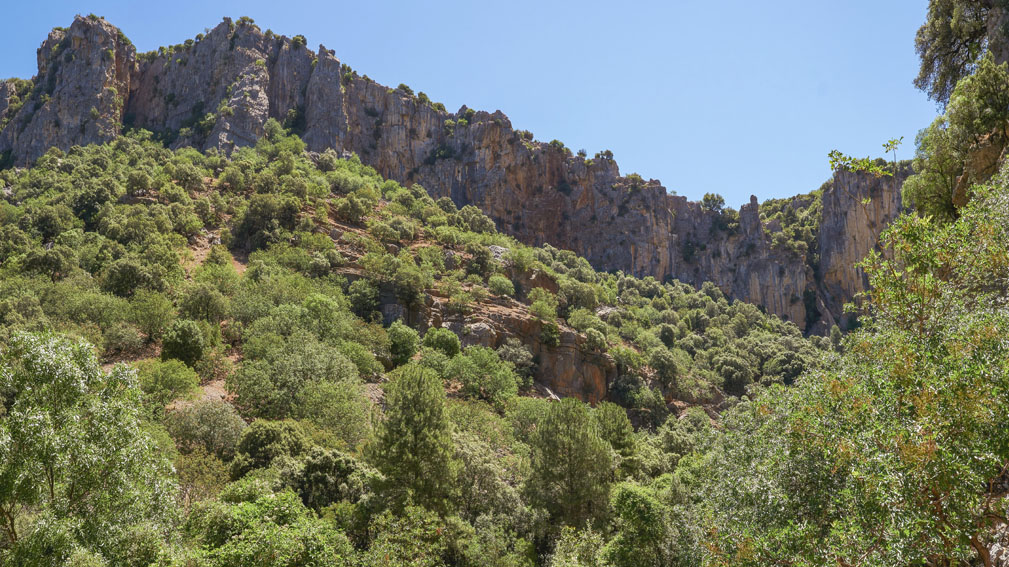 Paisaje del Parque Natural de las Sierras de Cazorla, Segura y Las Villas, con impresionantes formaciones rocosas y abundante vegetación bajo un cielo azul.