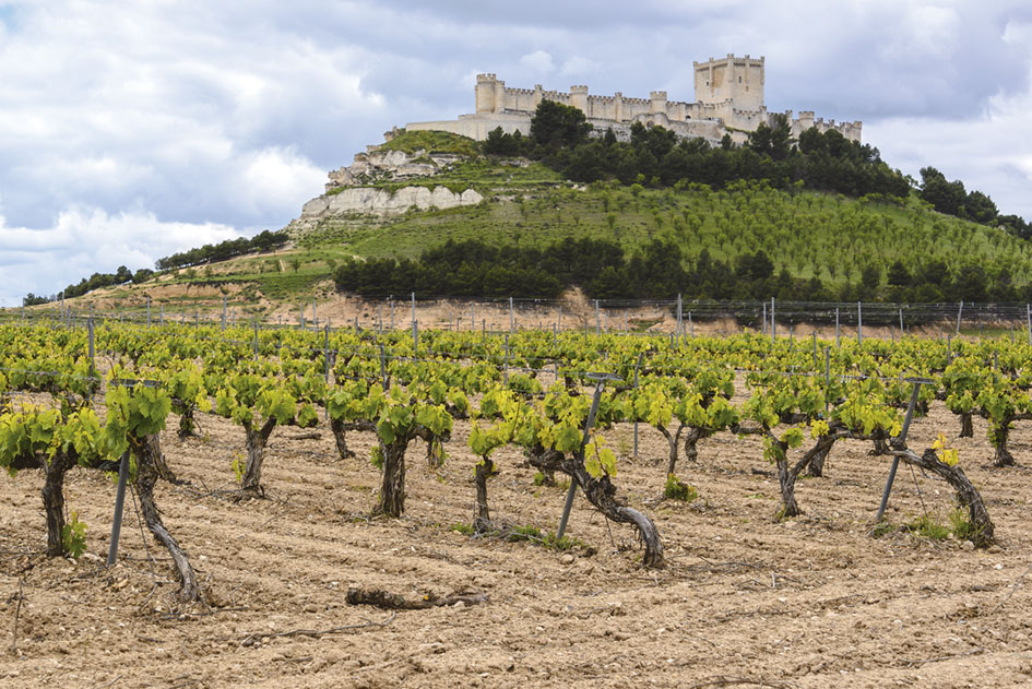 Peñafiel y Aranda de Duero