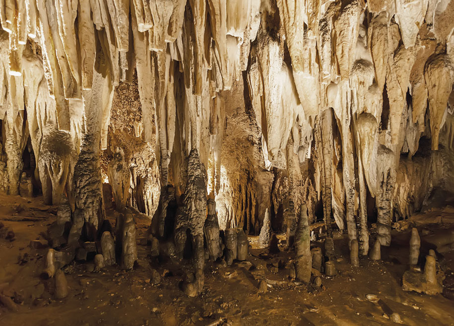 León y Cueva del Valporquero