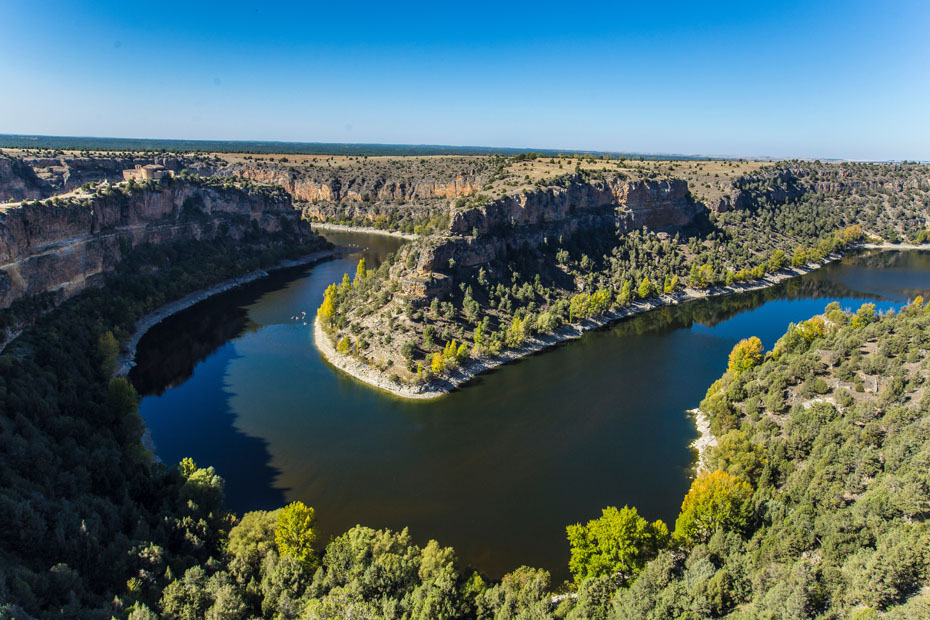 Vista panorámica de las Hoces del río Duratón, con el río serpenteando entre impresionantes paredes rocosas y una frondosa vegetación de ribera bajo un cielo despejado.