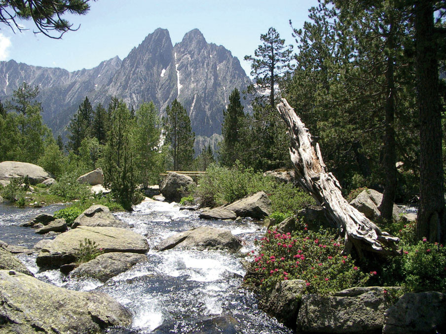 Paisaje de montaña en los Pirineos, con un arroyo de aguas cristalinas entre rocas y pinos, y un impresionante macizo montañoso al fondo.